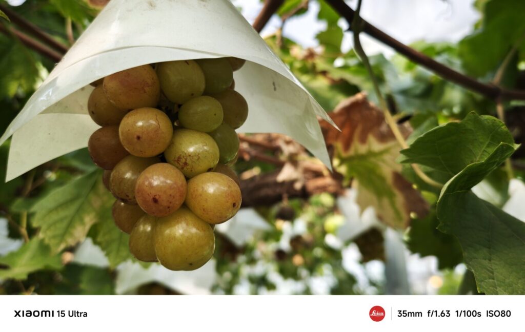 Xiaomi 15 Ultra カメラ